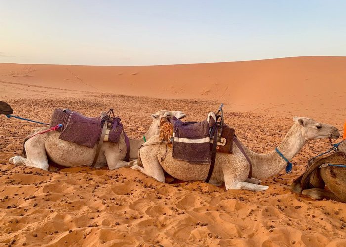Marrakech to Fes tour in 3 days across Merzouga desert