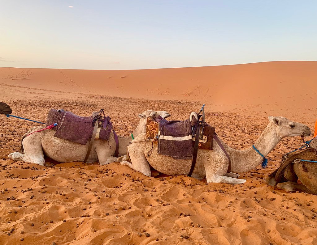 Marrakech to Fes tour in 3 days across Merzouga desert